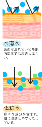 浸透の違い